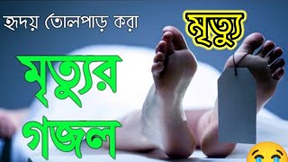 হৃদয় ছোঁয়া নাতে রাসুল Diba Nishi Tomay Vebe Hoyechi Bekul | Tawhid Jamil Kalarab New Islamic Song