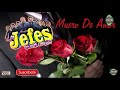 MUERO DE AMOR - LOS JEFES DE LA KUMBIA - Revilla Records Exclusiva Audio