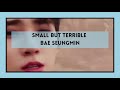 🦔 Small but Terrible Bae Seungmin 골든차일드 goldenchild