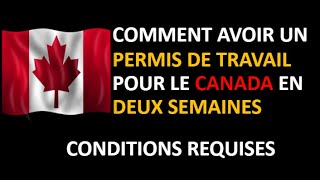 Comment avoir un permis de travail en deux semaines / conditions requises ?