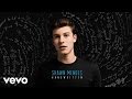 Shawn Mendes - Strings (Official Audio)