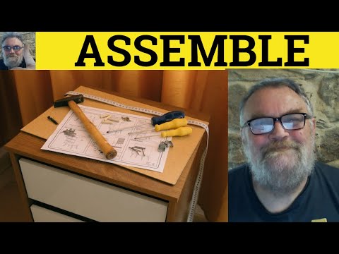 What is meant by assemblage?