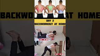 Day 2 Backworkout | 2 best exercise for back at home #gym #fitness #trending #backworkout #ytshorts