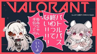 【VALORANT】バトルパス手伝ってほしい…【with白椅ぬゐ】