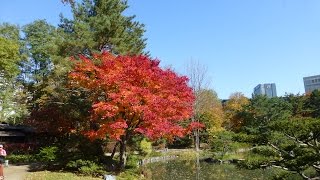 スライドショーで見る札幌ウォーキングコース　中島公園と豊平川散策（中央区）　2014/10/23