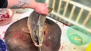 Mastering Fish Filleting: Step-by-Step Carp