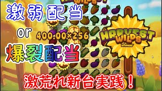 【オンラインカジノ】爆裂配当か激弱配当しか来ない激荒れ新台！？最高のボーナスを手繰り寄せろ！【Harvest Wilds】【BONSカジノ】