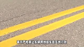 开车上路，双黄线和单黄线傻傻分不清？今天就来告诉你它们的区别