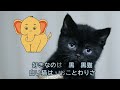 黒猫のタンゴ【 和訳オリジナル♪歌カバー 】いまいずこ…イタリア童謡