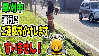 ナイロンコードカッターぐるがり55でまた道路脇の畦を危なっかしく草を刈る俺