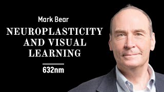 How a Vision Disorder Led to Groundbreaking Brain Science Discoveries | Mark Bear on Neuroplasticity