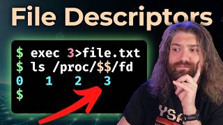Understanding File Descriptors in Unix/Linux