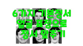 얼굴 표정으로 정서를 맞출수 있을까? - 6가지 기본정서