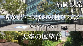 【福岡旅行】 JR博多駅·博多の街を一望！見落としがちな名所❢天空の展望台Fukuoka sightseeing　English Subtitles