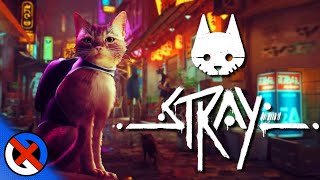 Kitty Cat Adventuring with Stray - GenXGrownUp Live