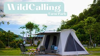 กางเต็นท์ Wild Calling Farm Park ปากช่อง โคราช