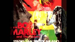 Bob Marley - Intro & Natural Mystic - Live in Dortmund