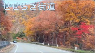 毎年行きたいぐらいすごかった,せせらぎ街道,Japan Best Autumn Driving Spot, Seseragi Kaido, Park