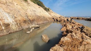 村花带队盘大水坑，一条剧毒大鱼现身把小明吓得“虎躯一震”不敢下手