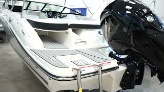 Sea Ray SPX 190 OB con motor Mercury EFI150