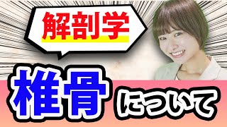 【解剖学】とってもややこしい「椎骨」について(椎骨,脊椎,脊柱,頚椎,胸椎,腰椎,仙骨)