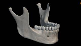 Dental Charting Tutorial [Beginner Guide] + Tips