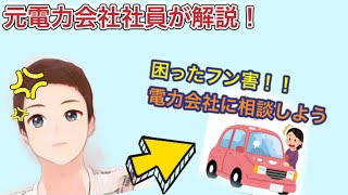 その困った鳥のフン。電力会社に相談してみませんか？？元電力会社社員が解説　電力会社の仕事　電気と生活編１