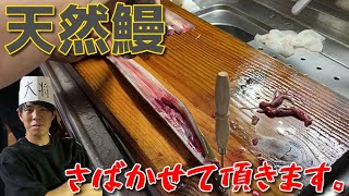 超必見！いつも使ってる出刃で誰でも鰻を捌けるようになる動画