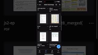 iOS (18.2.1) Adobe Acrobat (24.12.06)