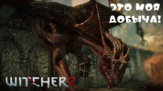 Прохождение The Witcher 2 #38 Пришли на совет