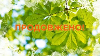 Спекотну пропозицію ПРОДОВЖЕНО!