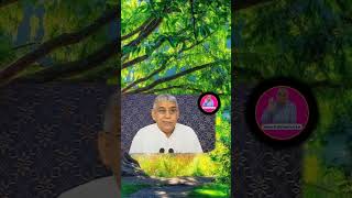 आत्मा गदगद कर देने वाली वाणी और सत्संग- sant Rampal Ji Maharaj satsang