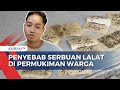 Diduga Akibat Peternakan Ayam, Lalat Serbu Permukiman Meresahkan Warga di Grobogan