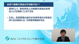 合併で繰越欠損金は引き継げるか？ 29