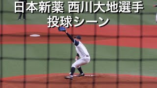 日本新薬 西川大地選手 投球シーン