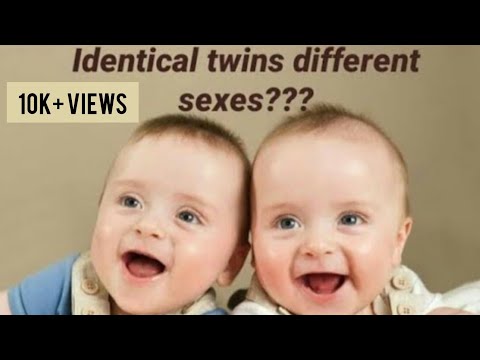 Can identical twins have different sexes?