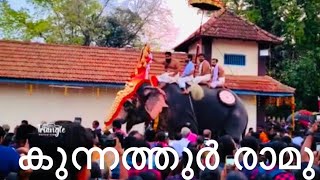 പെരുന്ന വേലായുധസ്വാമിയെ ശിരസ്സിലേറ്റി  കുന്നത്തുർ രാമു