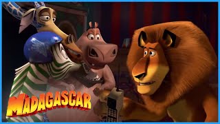 DreamWorks Madagascar | We Got a Circus to Do! | Madagascar 3:  Europe's Most Wanted | Kids Movies