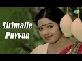 sirimalle puvvaa audio song padaharella vayasu chandra mohan mohan babu ravikanth sridevi