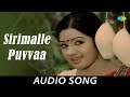 Sirimalle Puvvaa - Audio Song | Padaharella Vayasu | Chandra Mohan, Mohan Babu, Ravikanth, Sridevi