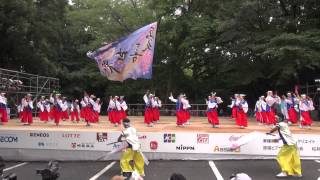 憂喜世桜＠2013　スーパーよさこい