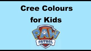 Cree Colours for Kids with Paw Patrol