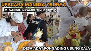 UPACARA MANUSA YADNYA || Nyurud ayu - Mesangih Nyambutin lan mepetik 2023