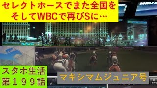 セレクトホースでまた全国を、そしてWBCで再びSに…　スタホ生活第199話　【ゆっくりスタホ3実況】