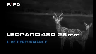 PARD Leopard 25 mm 480 Sensor Thermal Imaging Monocular | Live Performance