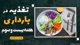 تغذیه در بارداری هفته بیست و سوم