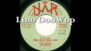 The Cupids - (IF YOU CRY) True Love True Love (United World Records) Teener/Doowop