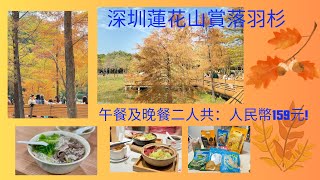 深圳蓮花山公園落羽杉抵玩抵食一天之旅