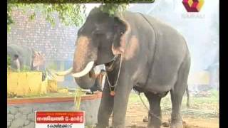 E4 Elephant- Keerthana Karthik - Part 1.mp4