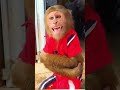 this monkey can not only drive but also buy things animals foryou friendship us usa monkey